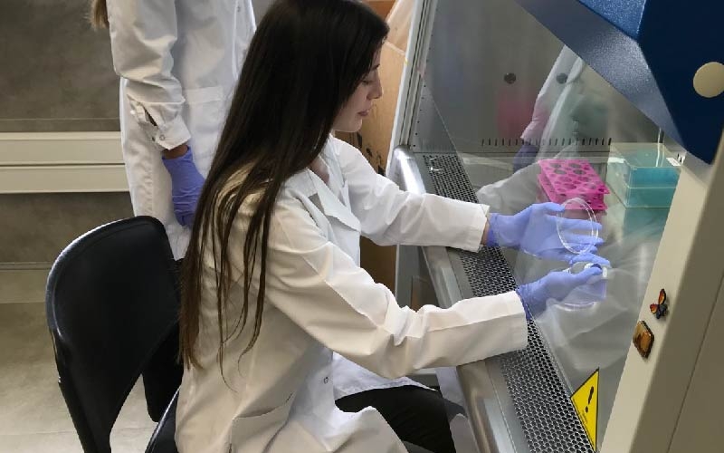 Programa de Fomento a la Investigación Científica para Estudiantes de Medicina 2023/24